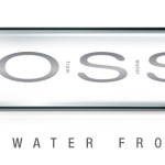 Voss water
